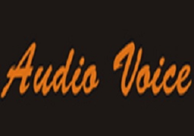 audio_voice